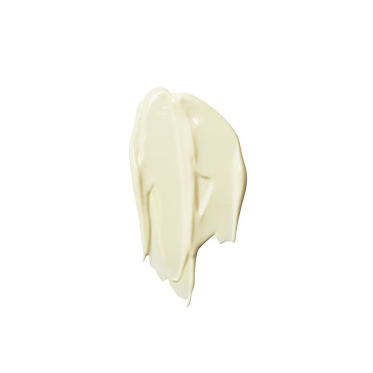 The Rich Cream Ultra-protective rich moisturiser