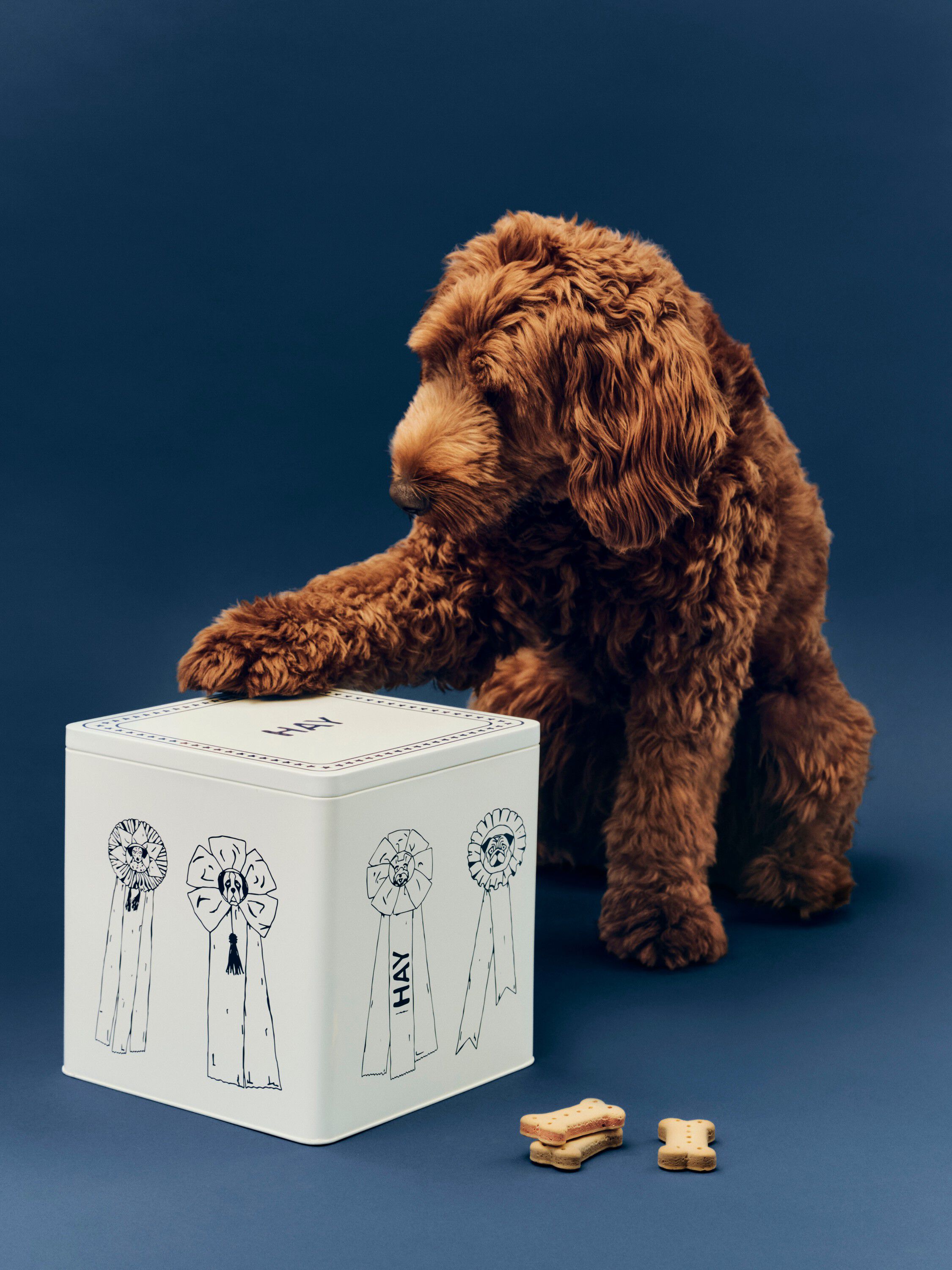 HAY Dogs Food Storage Tin-Large-Blu