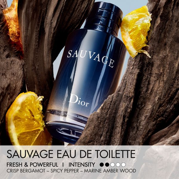 Sauvage Edt Travel Spray30ML INT25