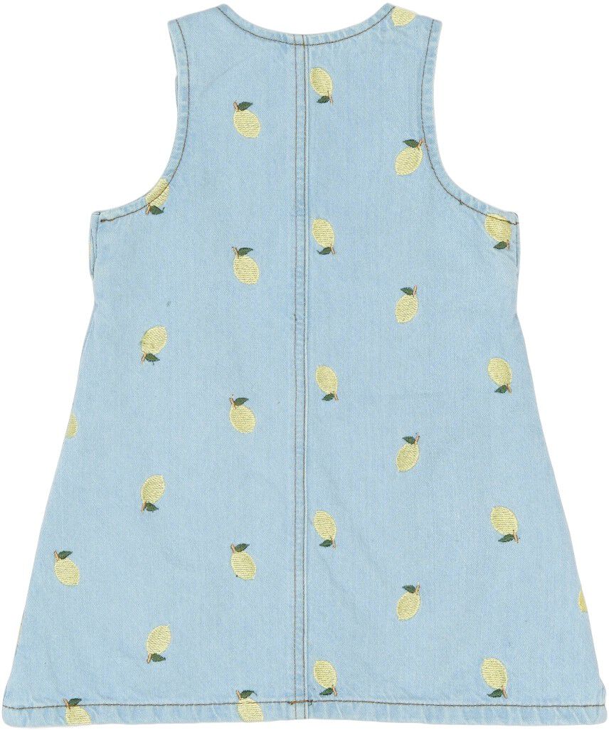 TNSTSaja S_L Denim Dress