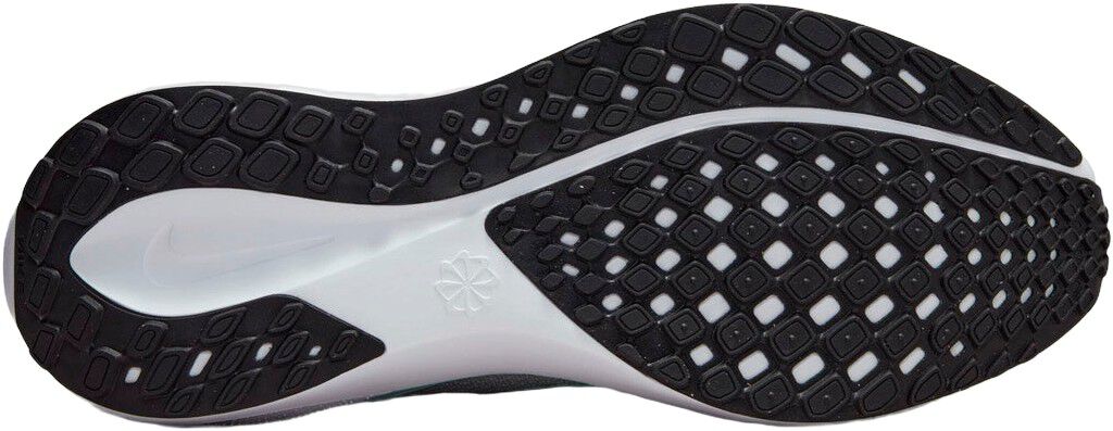 Pegasus 41 L&oslash;besko