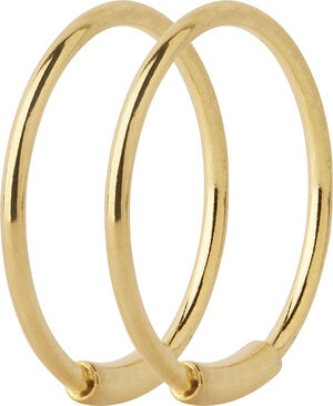 Basic Hoop
