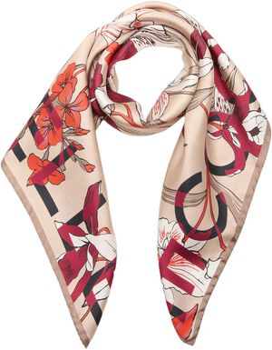 COCCINELLEJARDIN DE FLORE