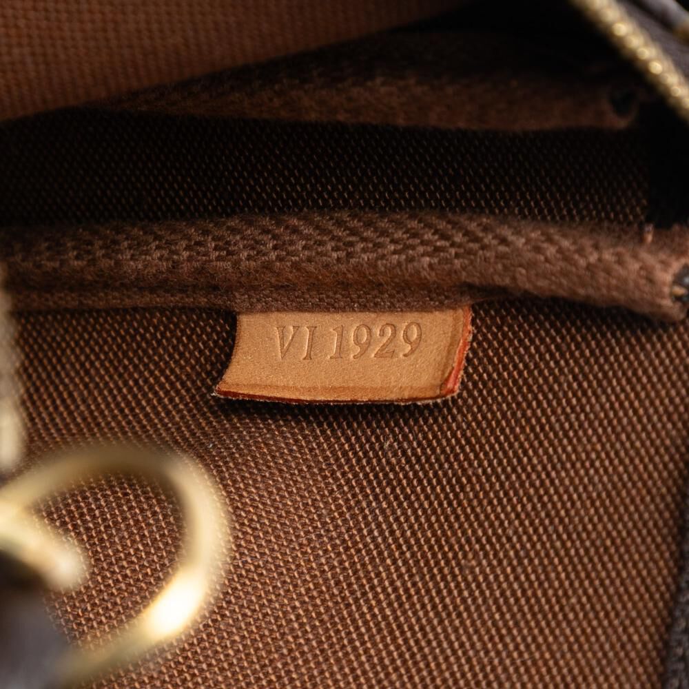 Louis Vuitton Pochette Accessoires