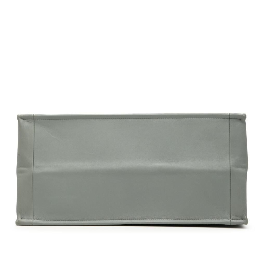 Dior Book Tote