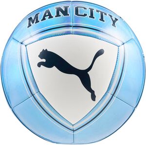 Manchester City Culture Fodbold