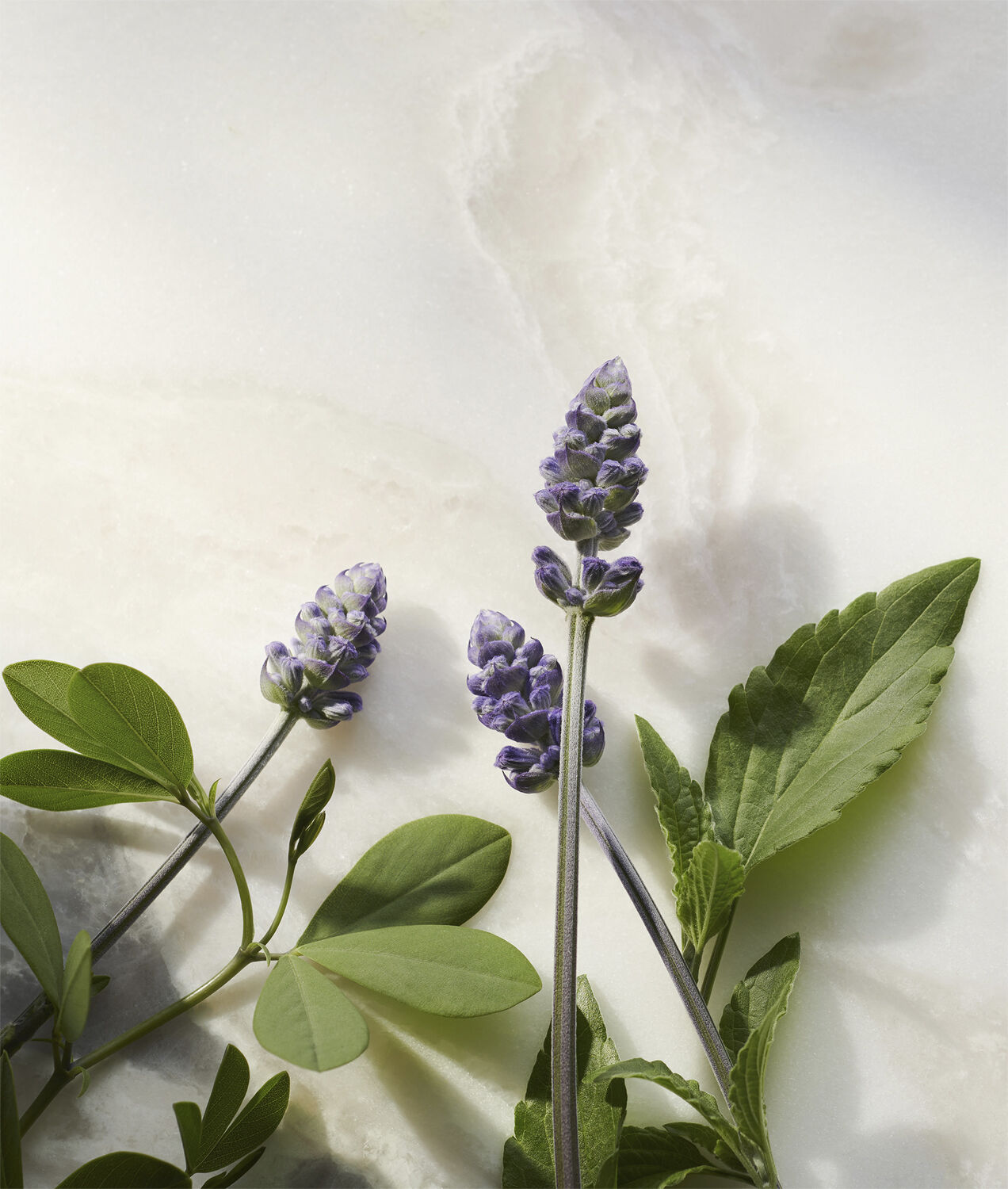 The Ritual of Namaste Glow Anti-Ageing Night Cream Refill