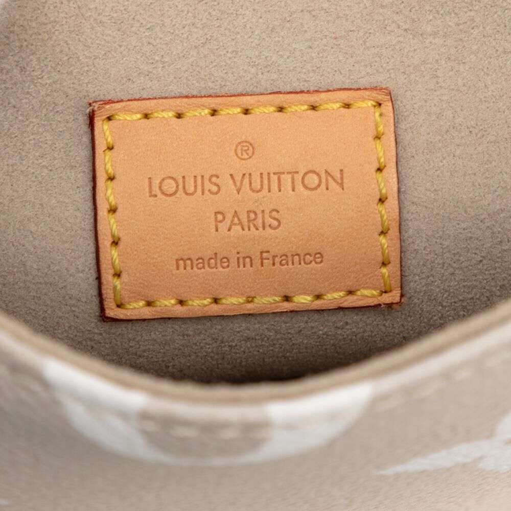 Louis Vuitton Backpack