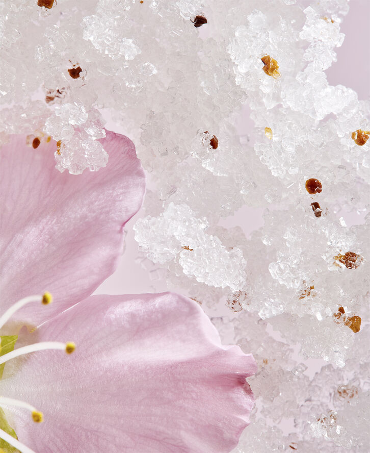 The Ritual of Sakura Body Scrub