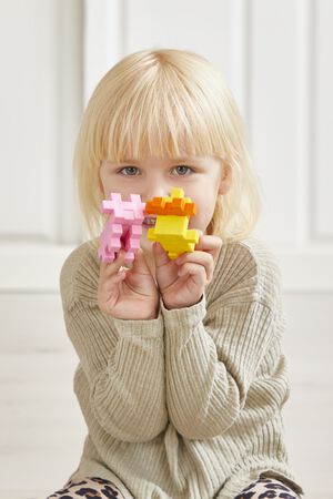 Plus-Plus BIG Activity -