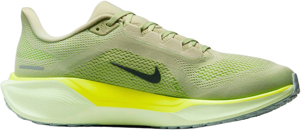 Pegasus 41 L&oslash;besko