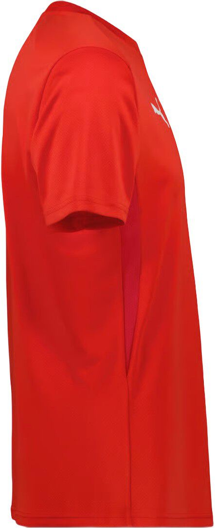 TeamGoal Tr&aelig;nings T-shirt