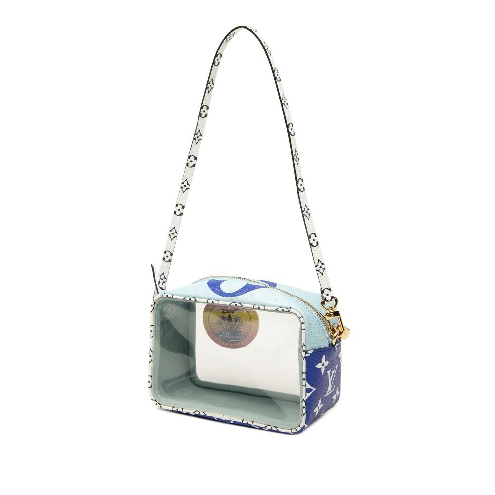Louis Vuitton Pouch