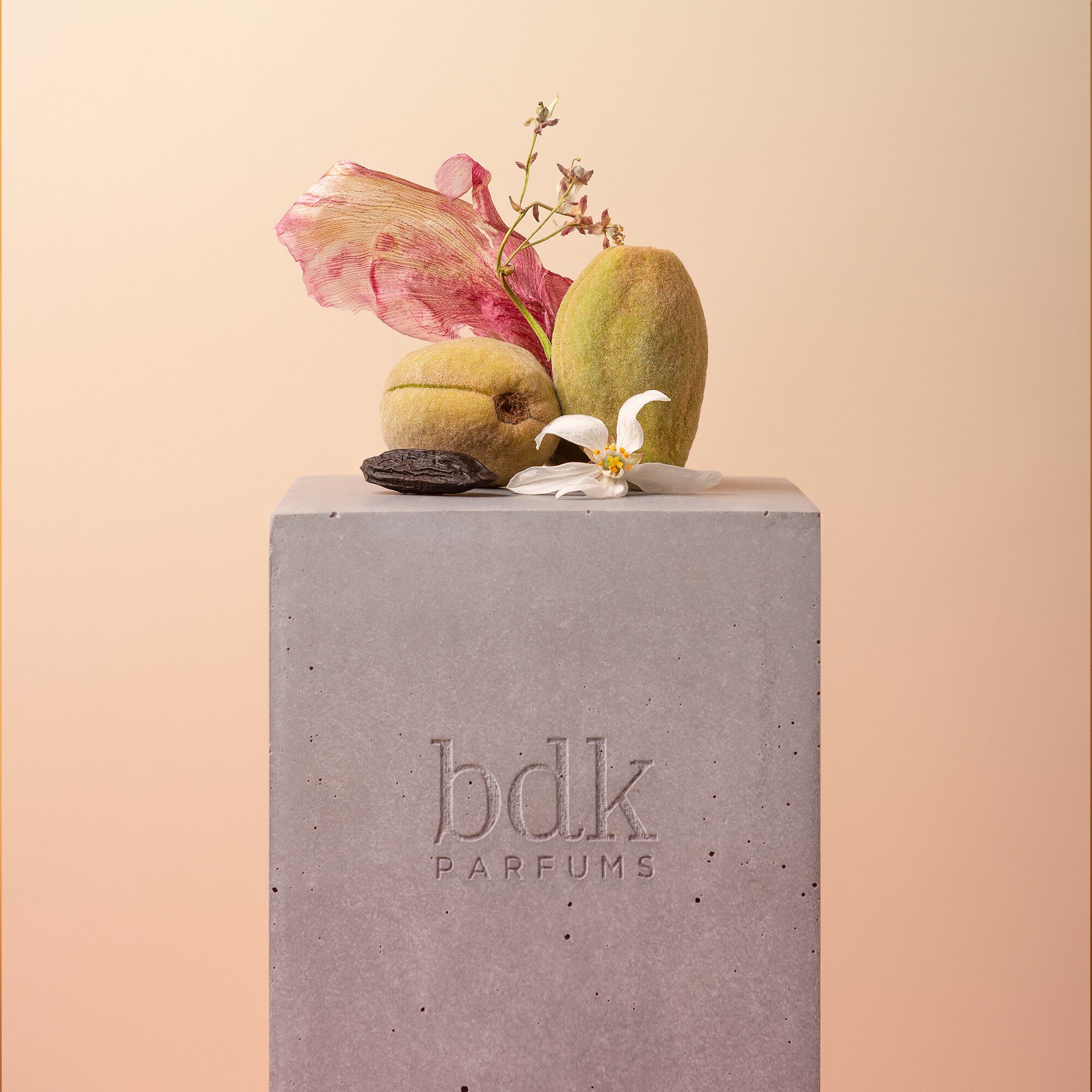 VELVET TONKA - Eau de Parfum 100 ML