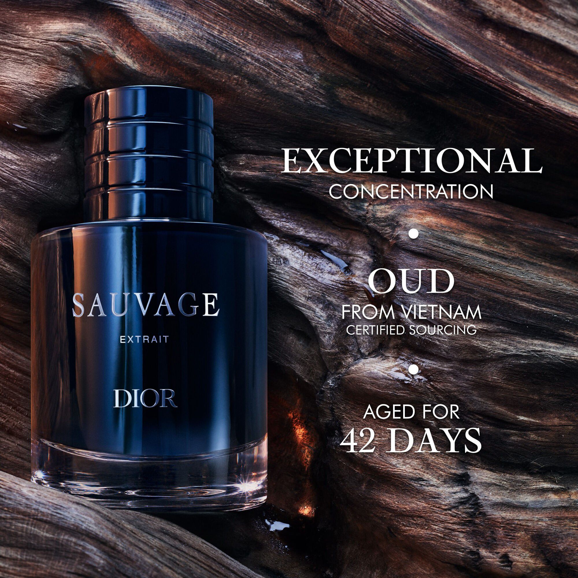 Sauvage Extrait