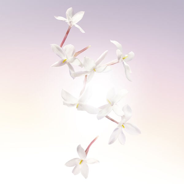 Idôle Eau de Parfum