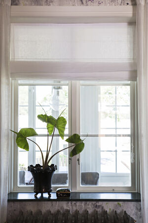 Sunday Roman Blind