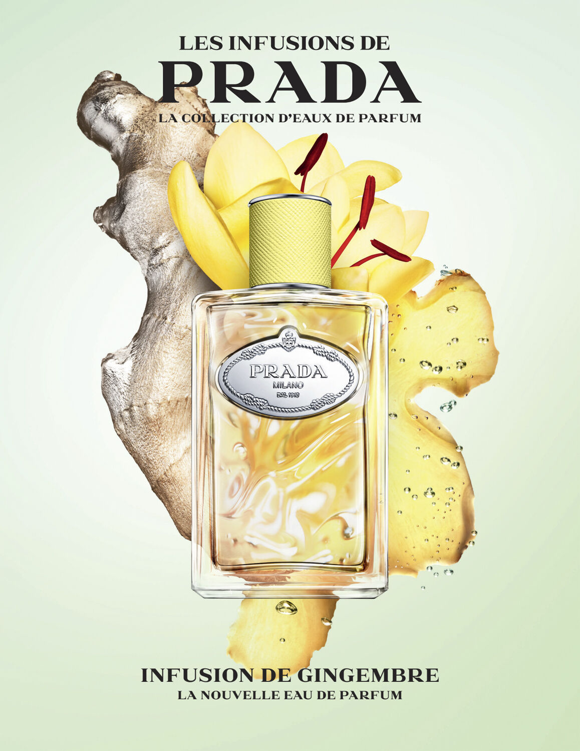 Prada Infusion de Gingembre Eau de Parfum 100ml