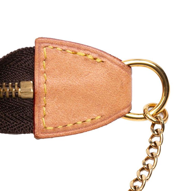 Louis Vuitton Pochette Accessoires