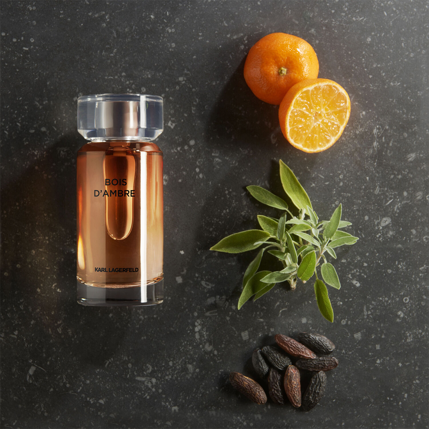 Bois d'Ambre Eau de Toilette