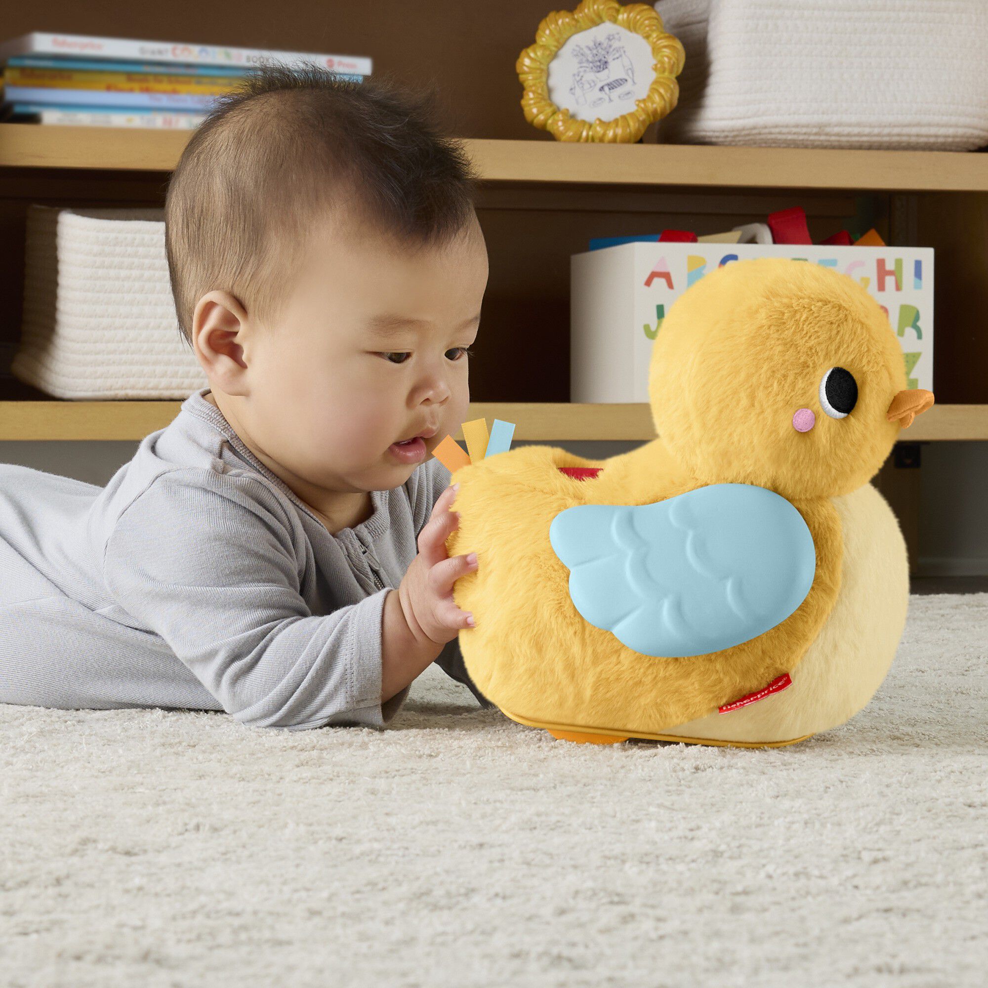 Fisher-Price Flap & Follo