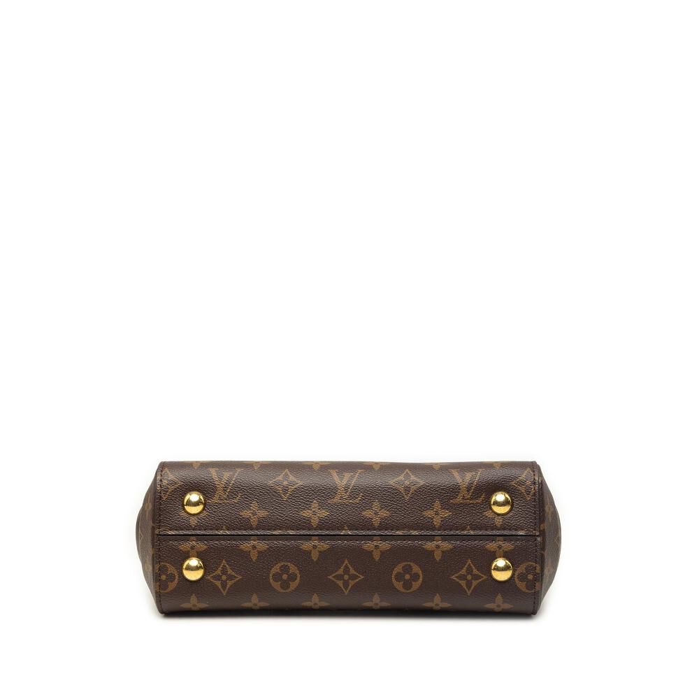 Louis Vuitton Cluny