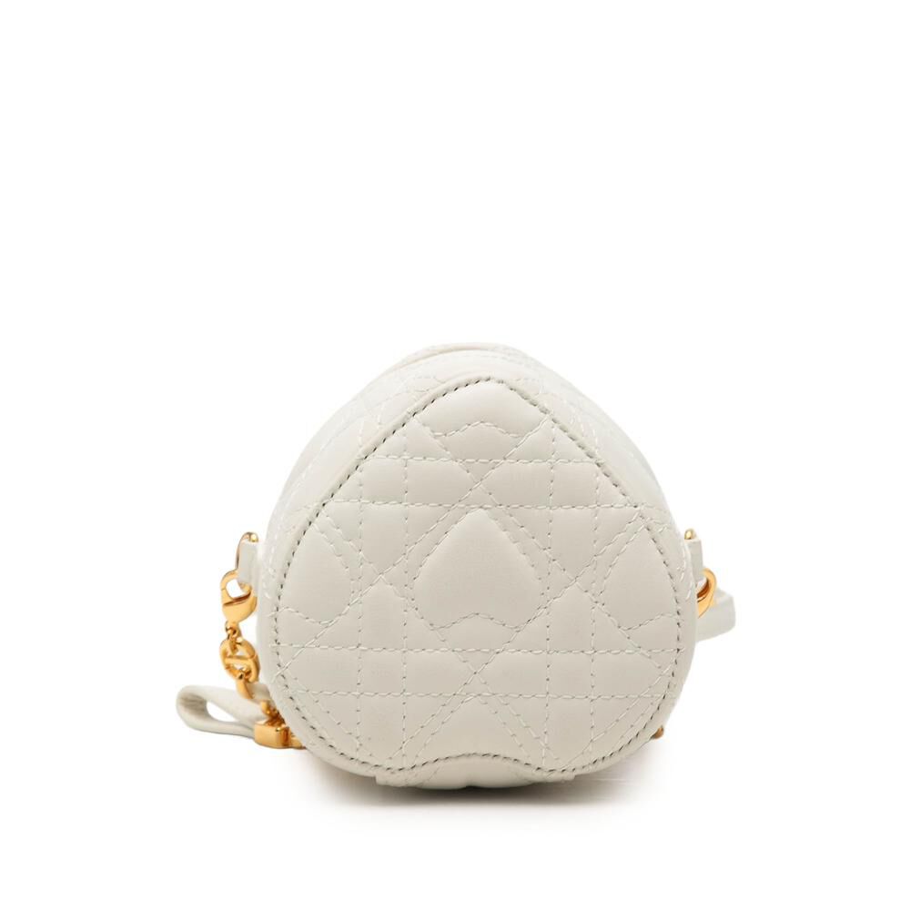 Dior Vanity Bag