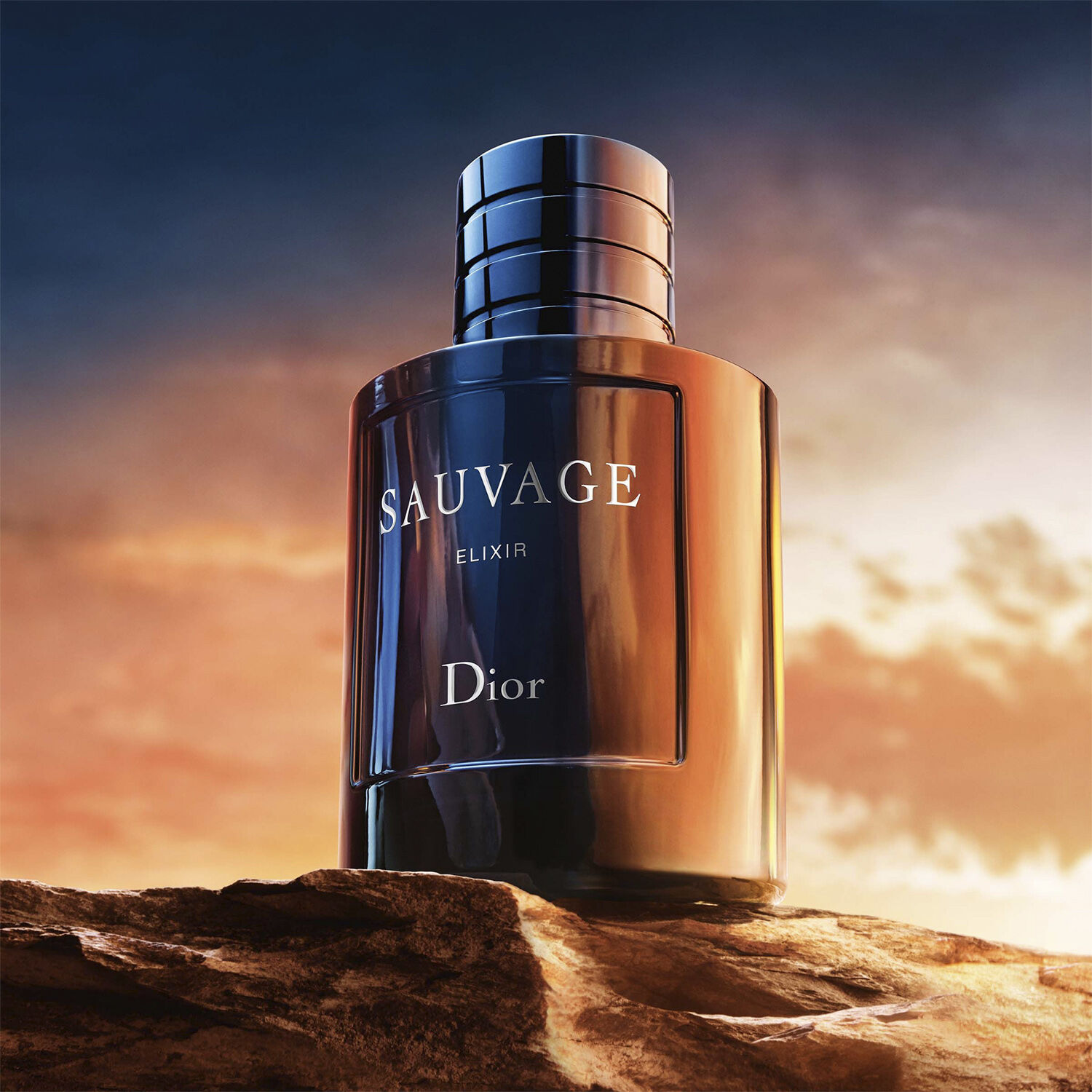 Sauvage Elixir 100ML
