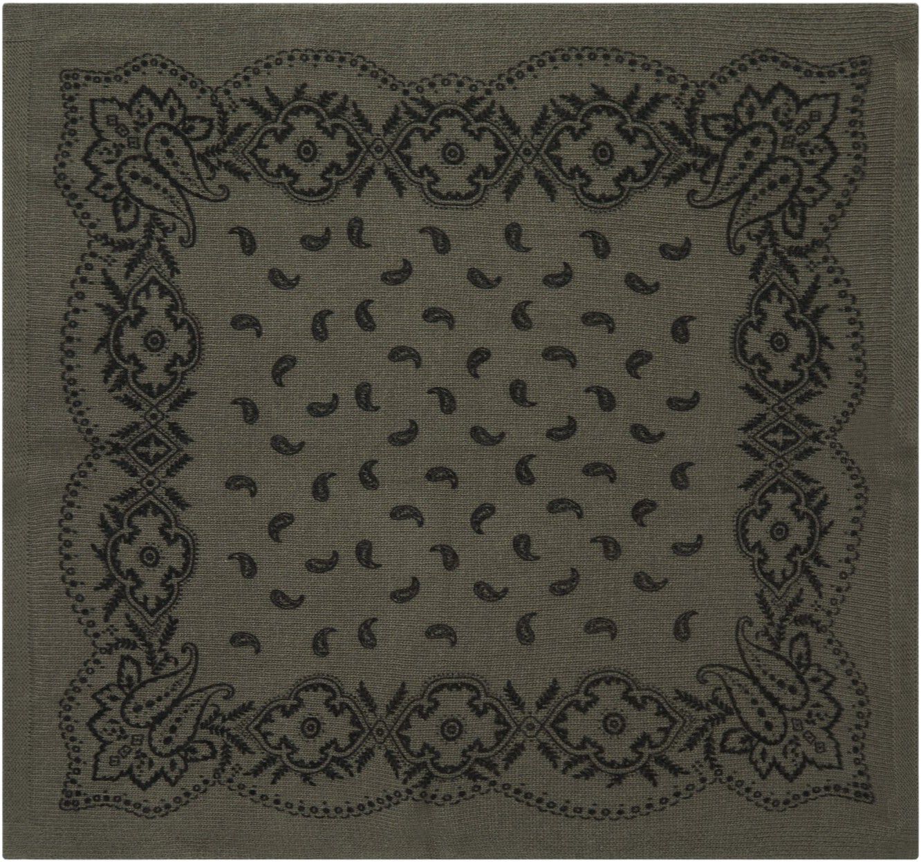 Adelina Paisley Knit Scarf