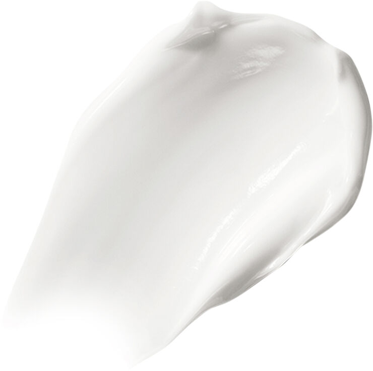 The Moisturizing Soft Cream