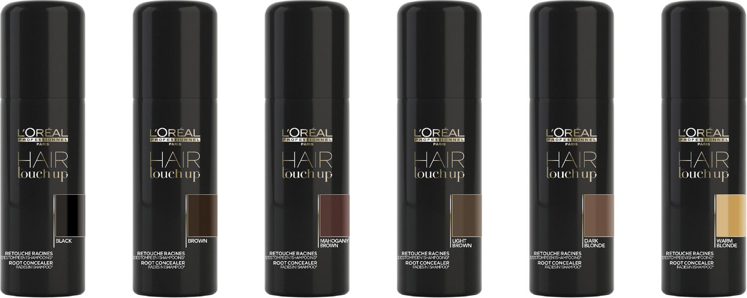 L'Or&eacute;al Professionnel Hair Touch Up Mahogony Brown
