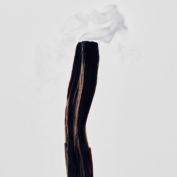 LOEWE Palo Santo Medium Candle