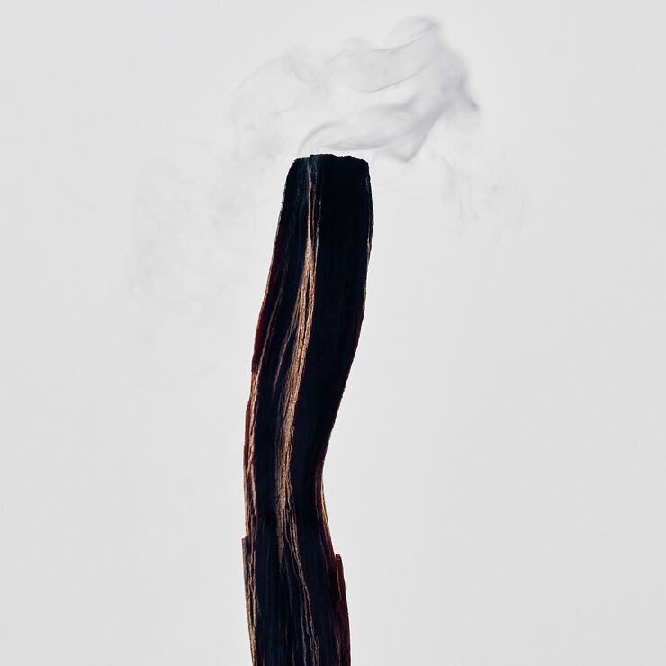 LOEWE Palo Santo Medium Candle