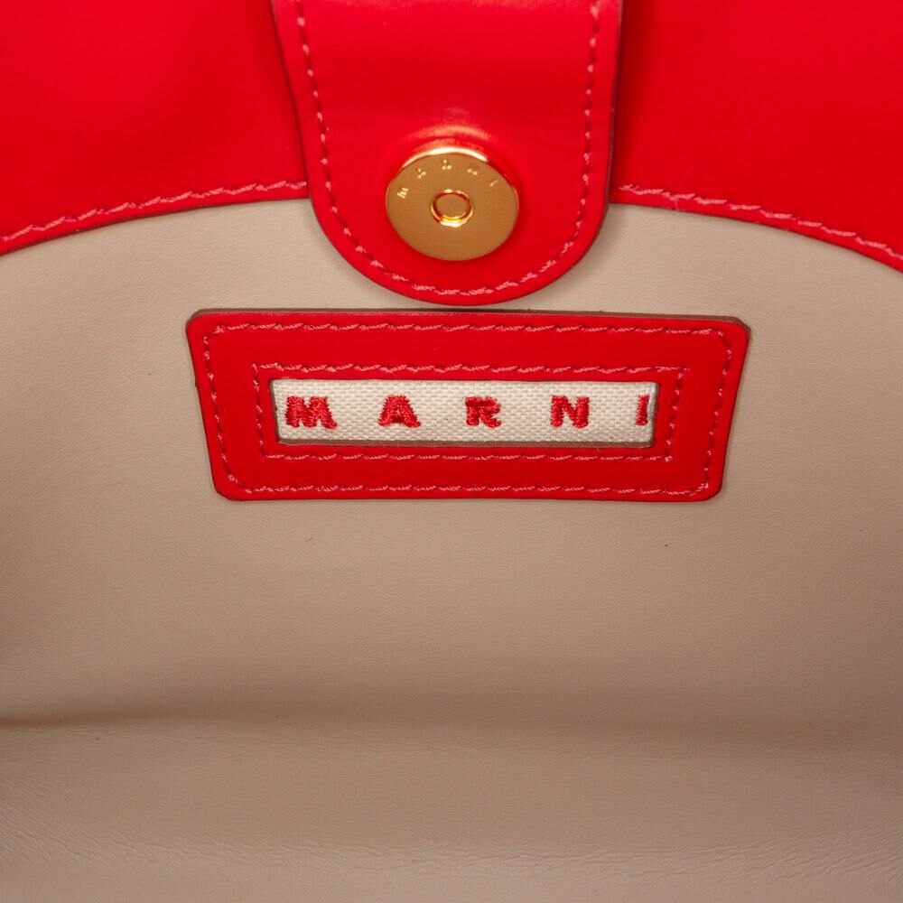 Marni Trunk