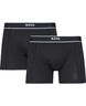 BoxerBr 2P EOSP