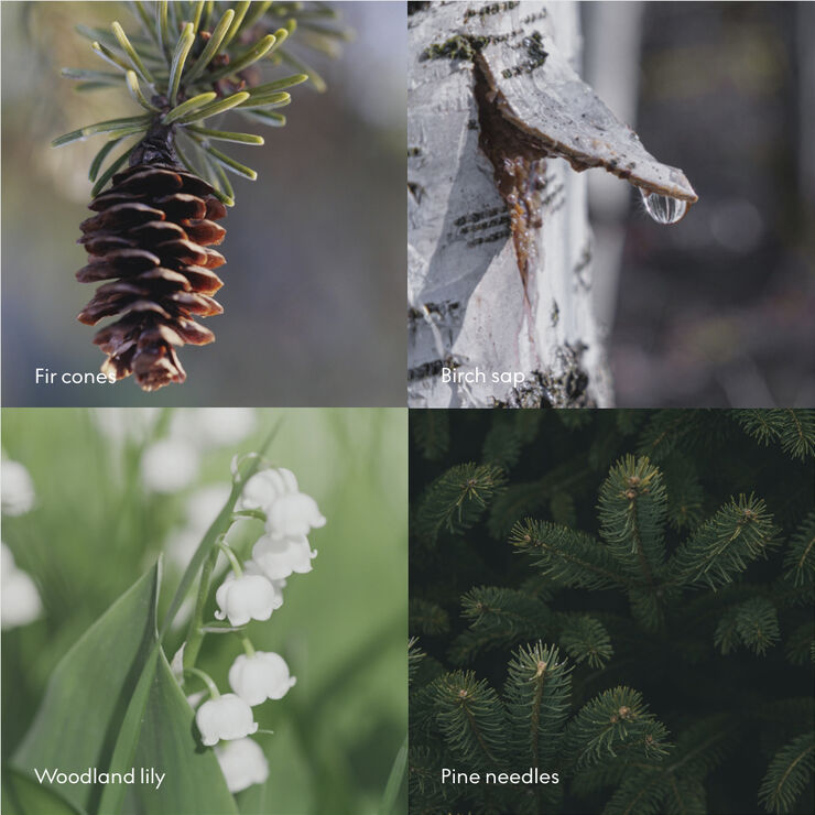 Conditioner SKOG 500ml