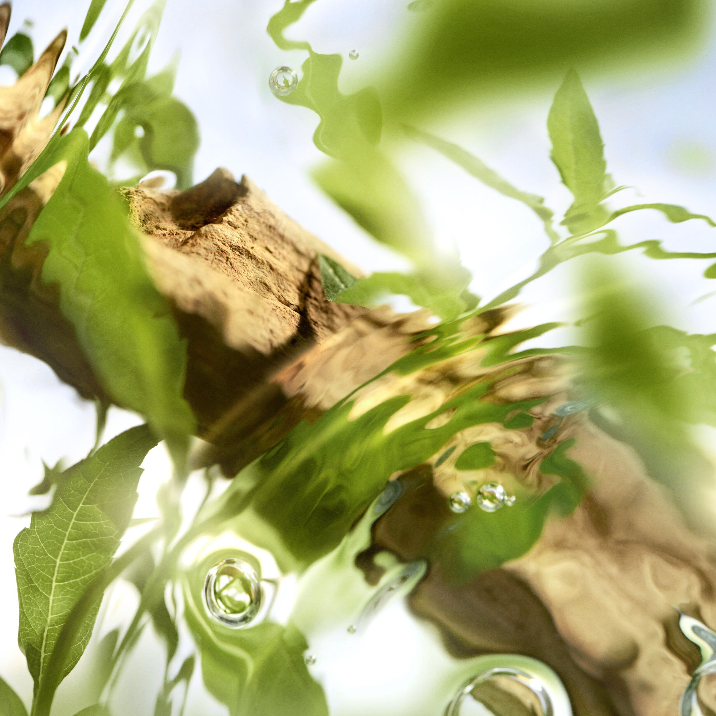 LC ODL OFF NOW EDT V100ml