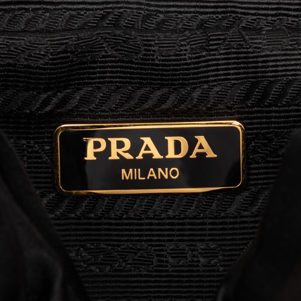 Prada Pouch