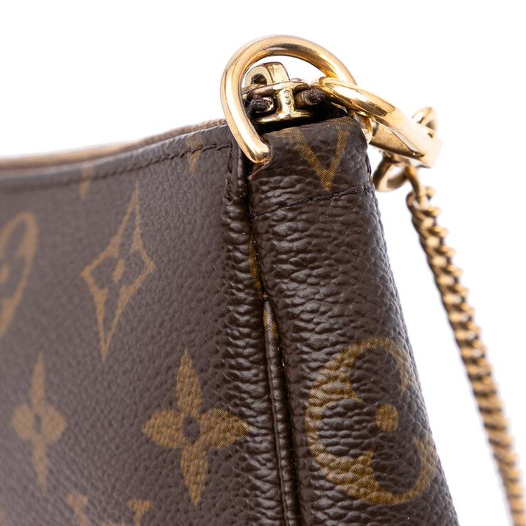 Louis Vuitton Pochette Accessoires