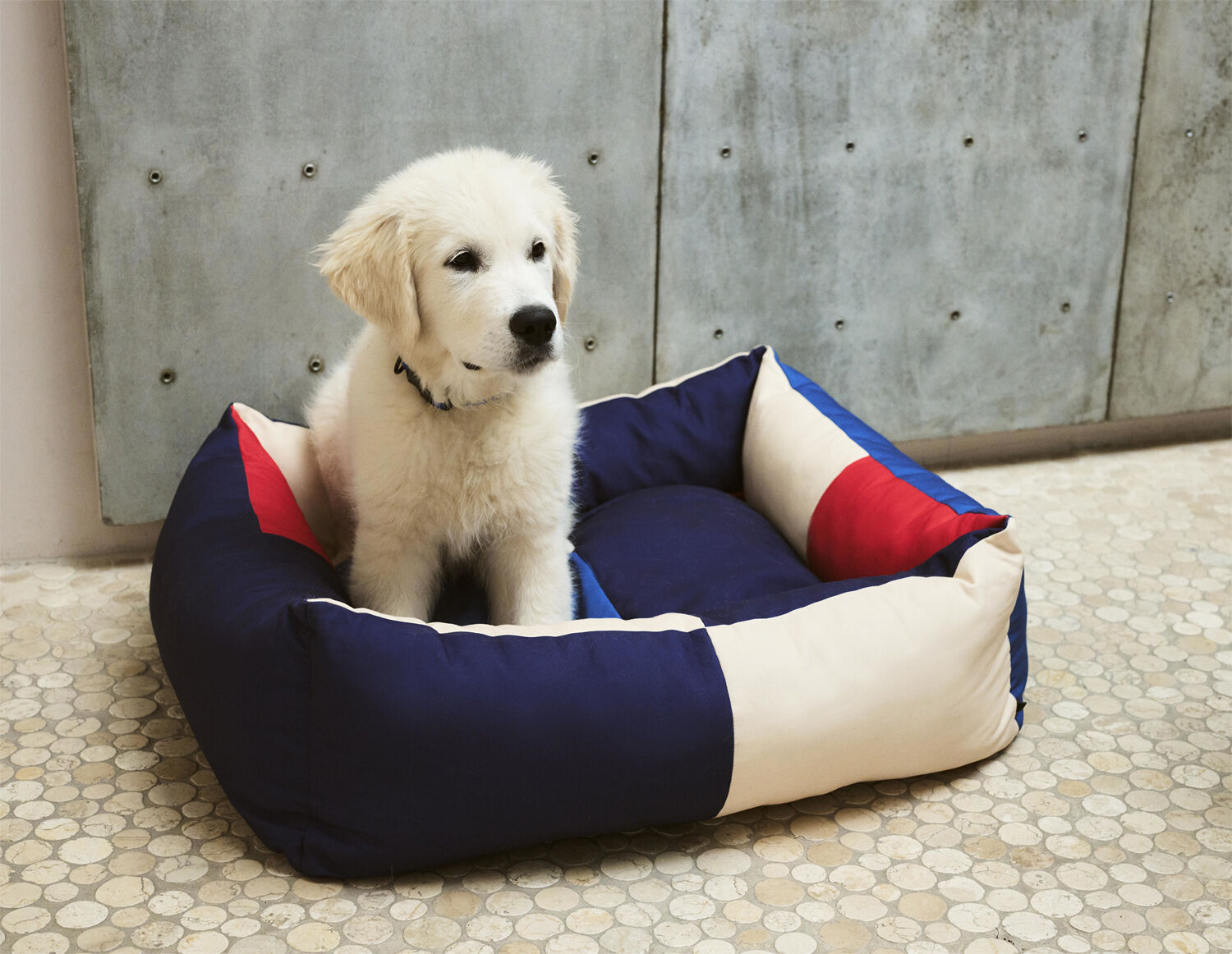HAY Dogs Bed-Medium-Red, blue