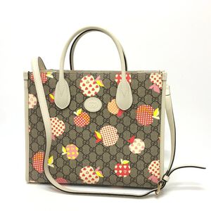 Gucci Handbag
