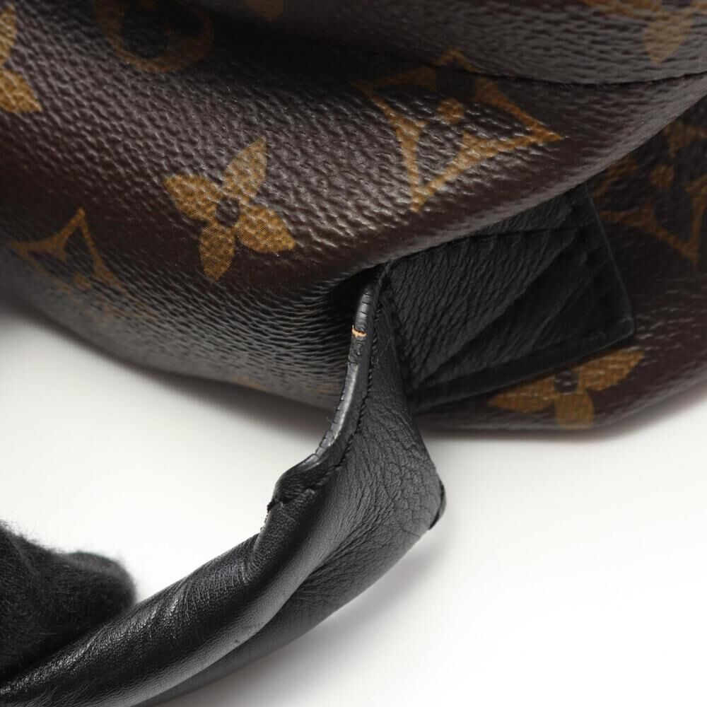 Louis Vuitton Palm Springs