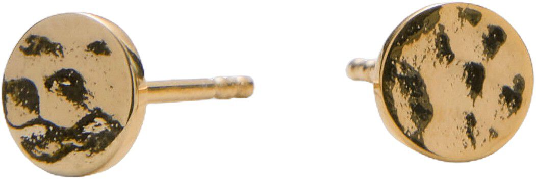 Dot Earsticks