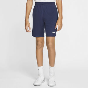 Dri-FIT park 3 træningsshorts