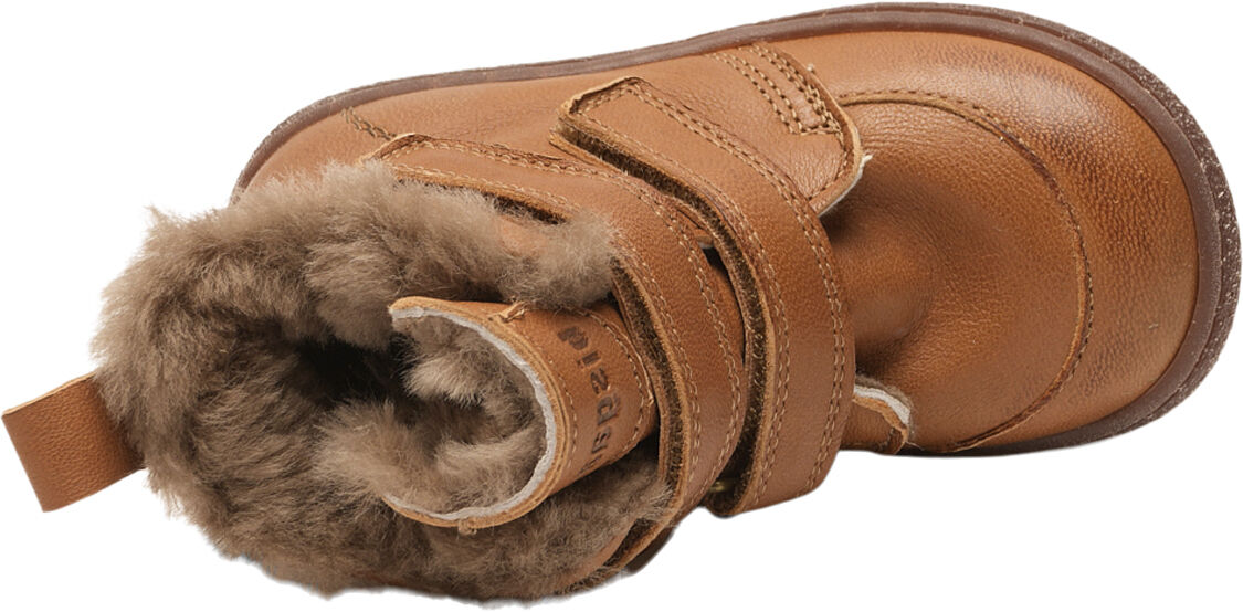 bisgaard storm lamb