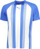 Teamliga Striped T-shirt