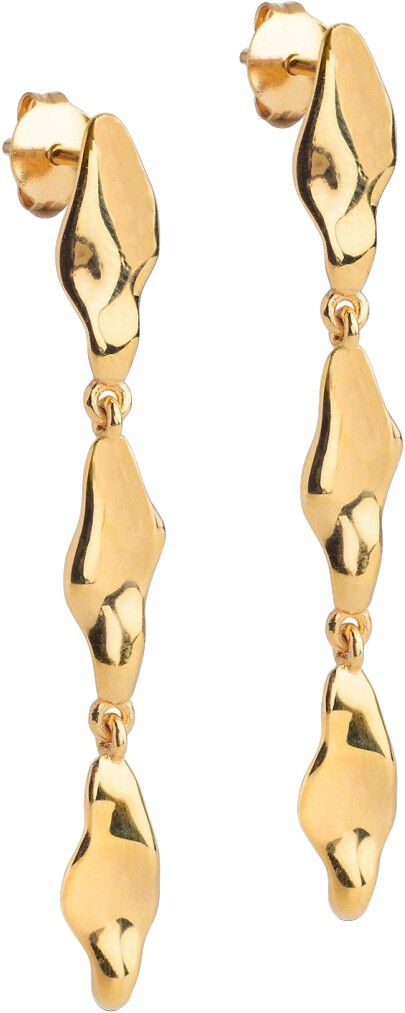 Earrings, India Medium