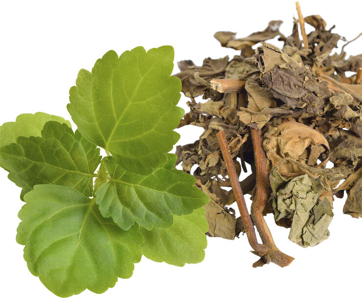 Eros Homme Energy Eau de parfum spray 200. 0 ML