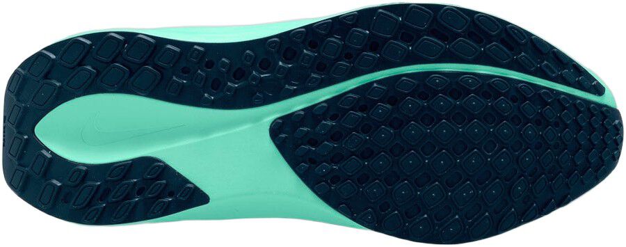 Pegasus 41 L&oslash;besko