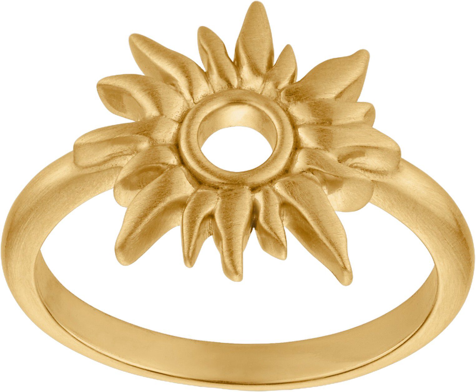 Sun Wild Ring-GP
